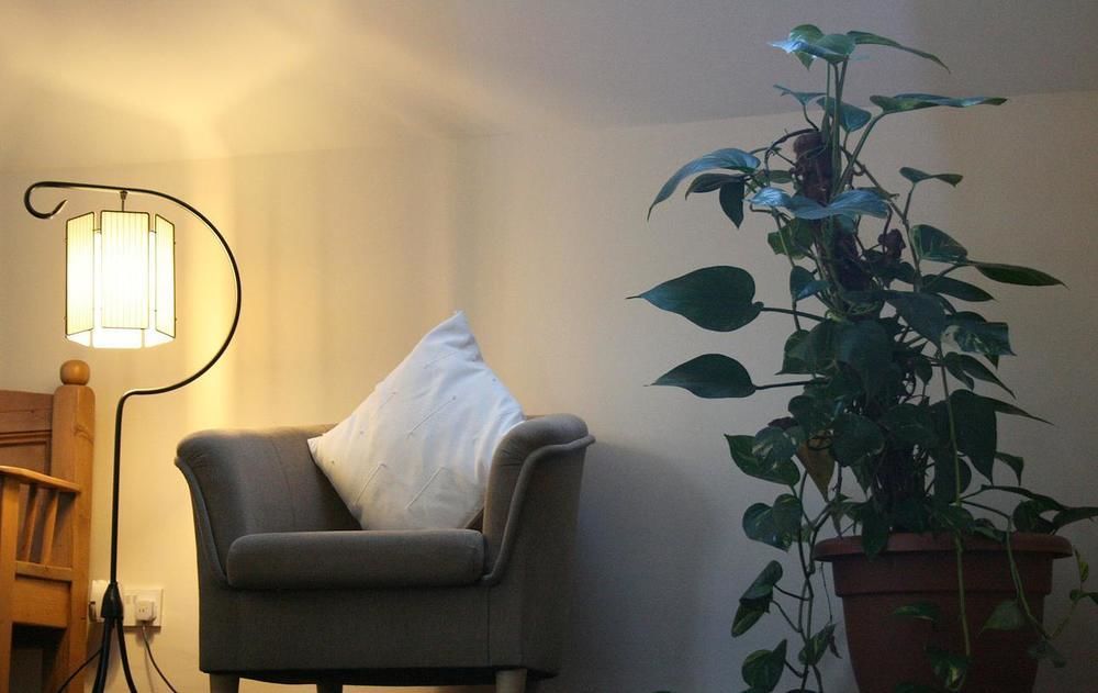 Ross House Bed & Breakfast Roscommon Luaran gambar